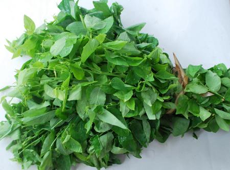 Mẹo dân gian cực hay cho bé khỏe mạnh