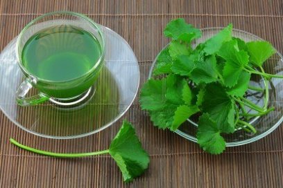 7 loại nước uống quen thuộc cho nguồn sữa mẹ dồi dào