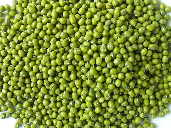 dau-xanh